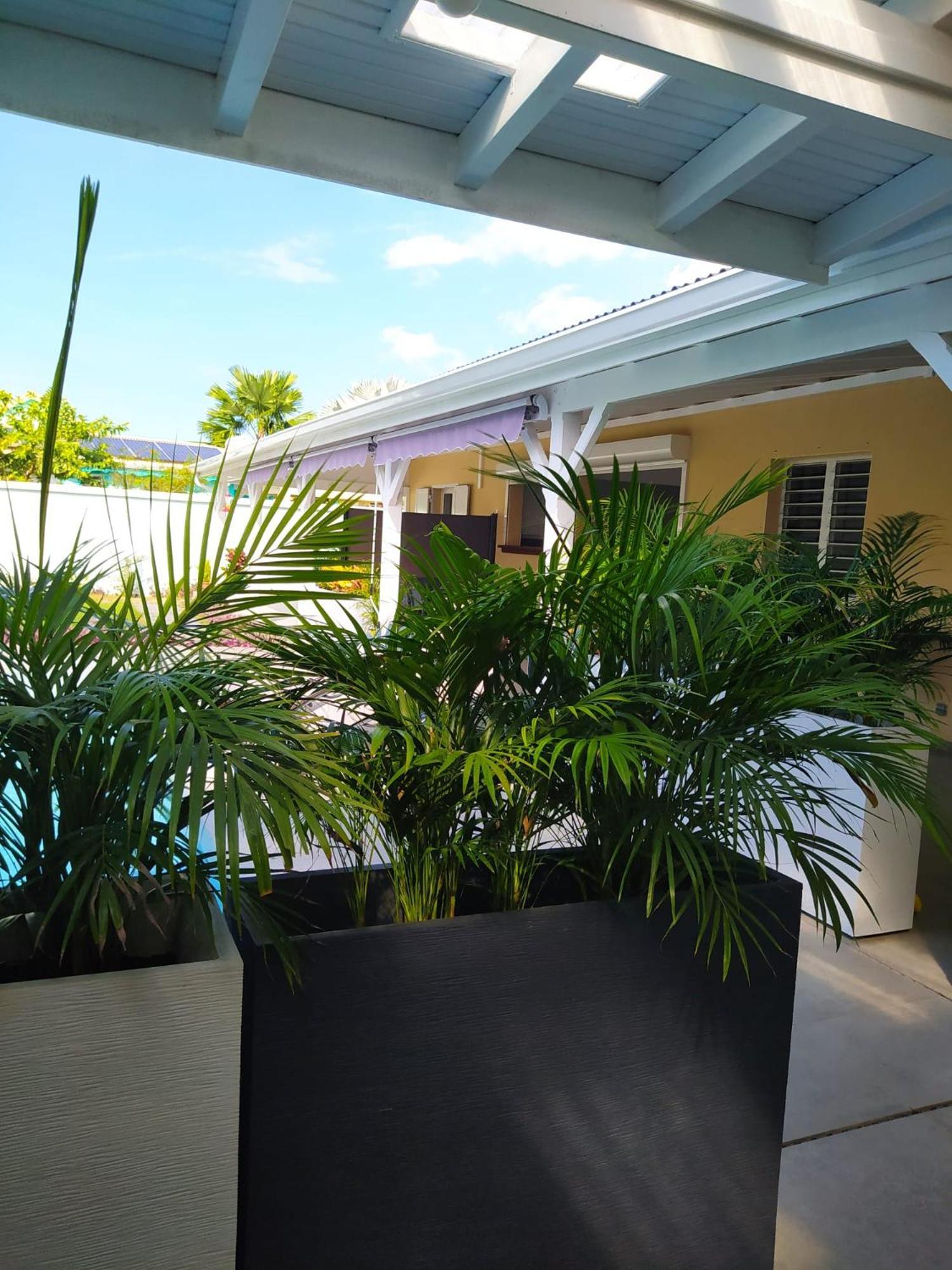 Villa Creolena Anse-Bertrand Esterno foto